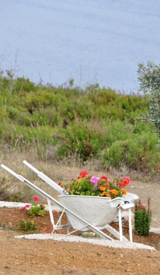 Villa Oceanis - Luxury Seaside Villa Mourtero Екстер'єр фото